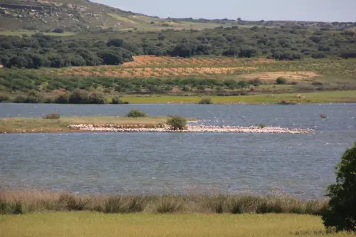 Humedales-Petrola-laguna-salada11