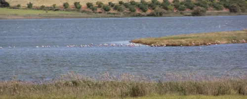 Humedales-Petrola-laguna-salada12