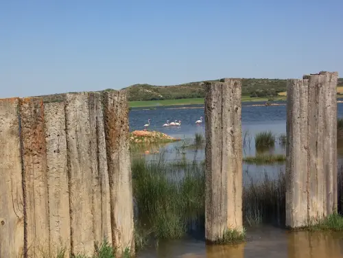 Humedales-Petrola-laguna-salada13