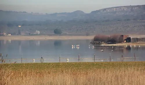 Humedales-Petrola-laguna-salada14