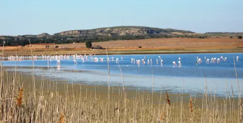 Humedales-Petrola-laguna-salada15