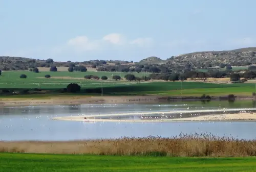 Humedales-Petrola-laguna-salada18