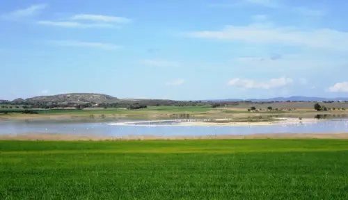 Humedales-Petrola-laguna-salada19