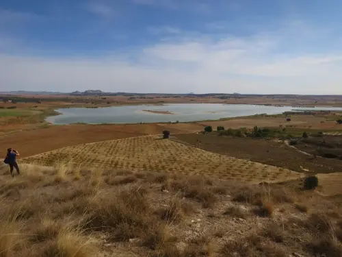 Humedales-Petrola-laguna-salada2