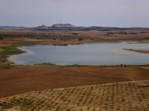 Humedales-Petrola-laguna-salada3
