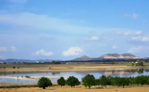 Humedales-Petrola-laguna-salada4