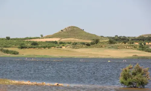 Humedales-Petrola-laguna-salada5