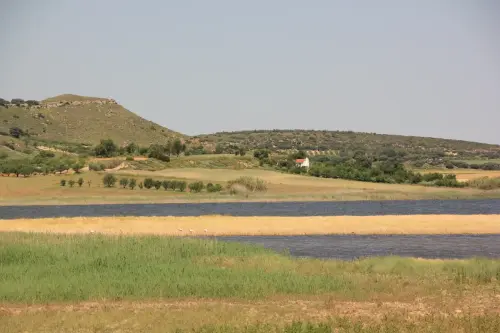 Humedales-Petrola-laguna-salada6