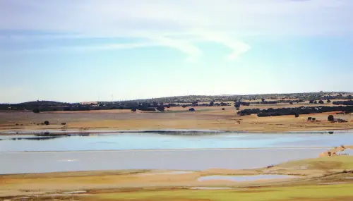 Humedales-Petrola-laguna-salada7