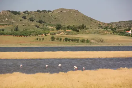 Humedales-Petrola-laguna-salada8