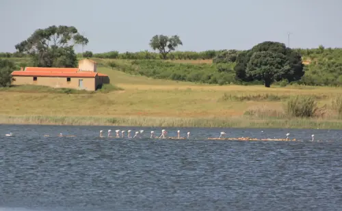 Humedales-Petrola-laguna-salada9