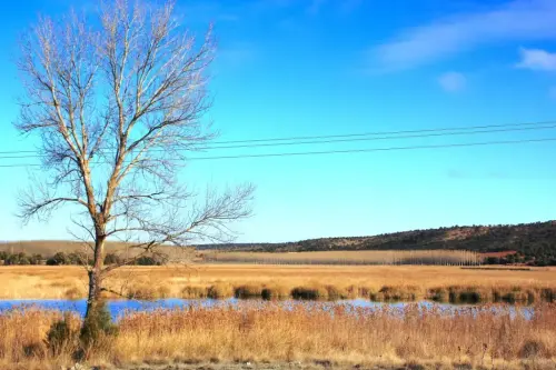 Humedales-Robledo-Ojos-de-Villaverde