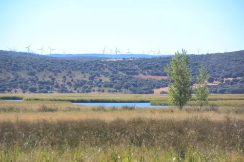 Humedales-Robledo-Ojos-de-Villaverde10