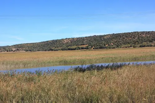 Humedales-Robledo-Ojos-de-Villaverde11