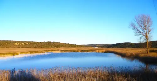 Humedales-Robledo-Ojos-de-Villaverde3