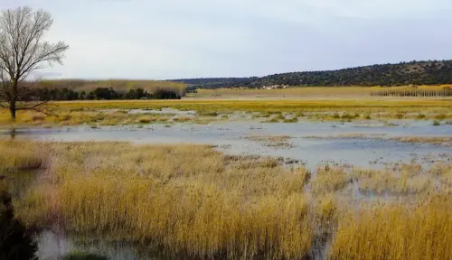Humedales-Robledo-Ojos-de-Villaverde7