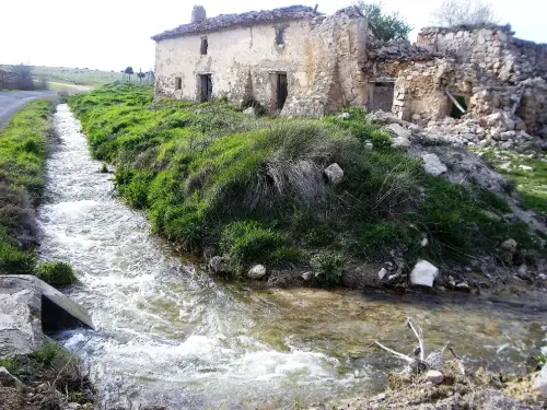 Humedales-Robledo-Ojos-de-Villaverde8