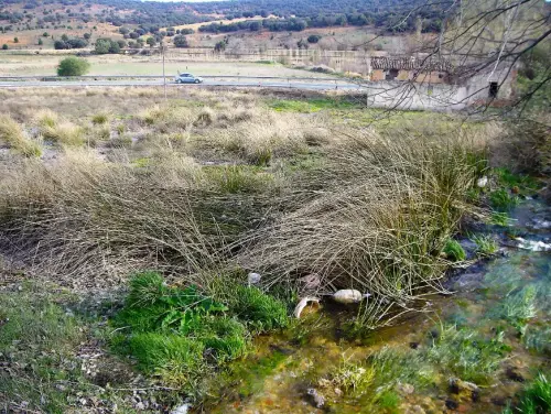 Humedales-Robledo-Ojos-de-Villaverde9