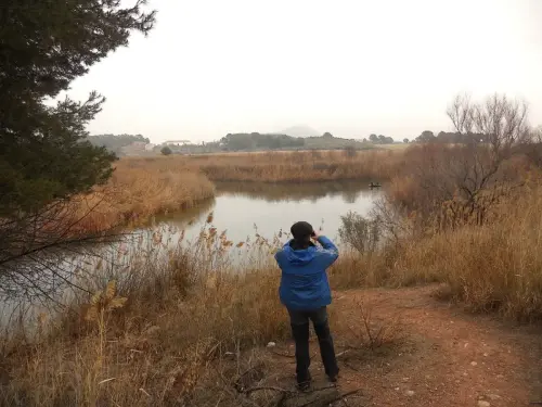 Humedales-Tobarra-Laguna-de-Alboraj