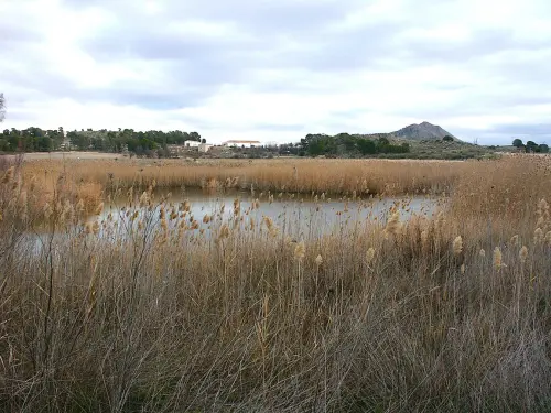 Humedales-Tobarra-Laguna-de-Alboraj11
