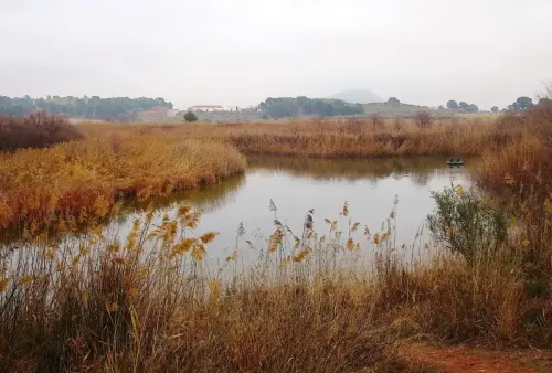 Humedales-Tobarra-Laguna-de-Alboraj12