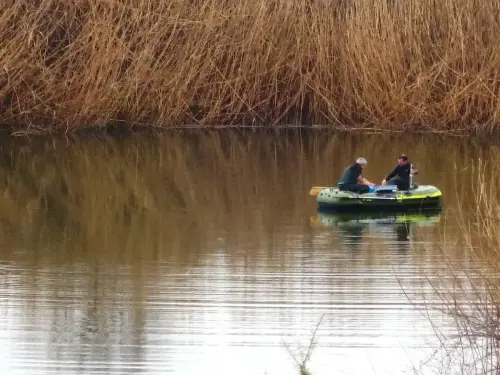 Humedales-Tobarra-Laguna-de-Alboraj13