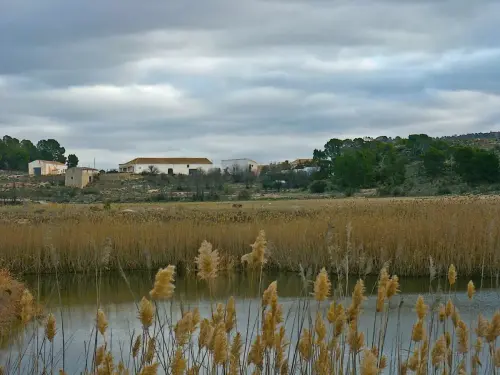 Humedales-Tobarra-Laguna-de-Alboraj2