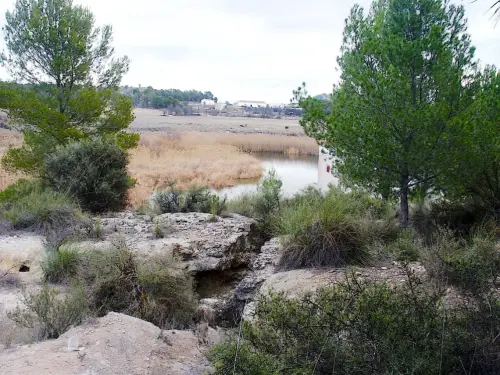 Humedales-Tobarra-Laguna-de-Alboraj3