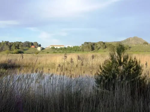 Humedales-Tobarra-Laguna-de-Alboraj4