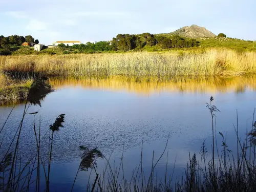 Humedales-Tobarra-Laguna-de-Alboraj5