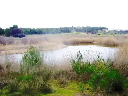 Humedales-Tobarra-Laguna-de-Alboraj6