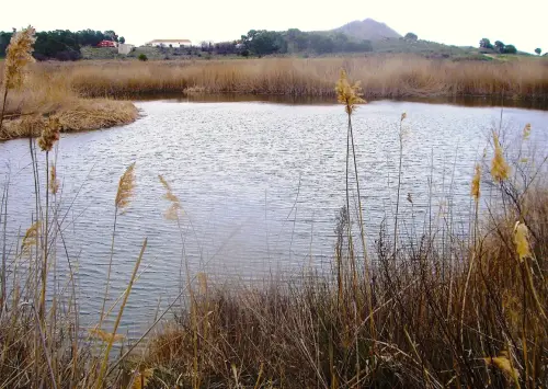 Humedales-Tobarra-Laguna-de-Alboraj8
