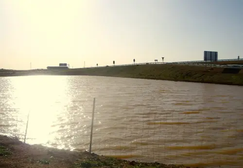 Humedales-Villarrobledo-Lagunazo-estacional