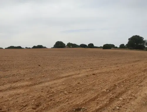 Molinos-Alhama-Chinchilla