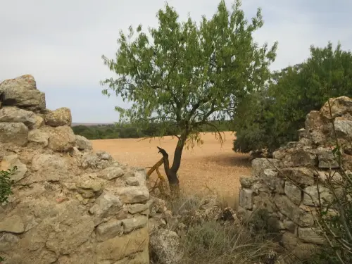 Molinos-Alhama13-Chinchilla
