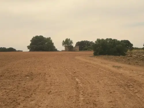 Molinos-Alhama2-Chinchilla