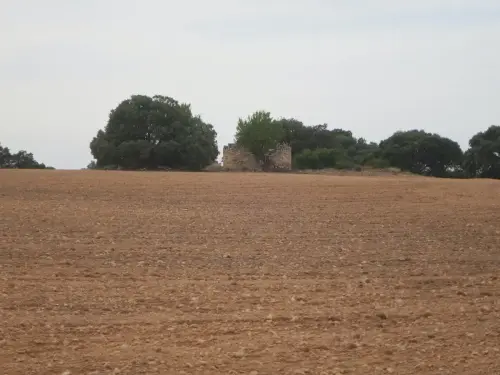 Molinos-Alhama3-Chinchilla