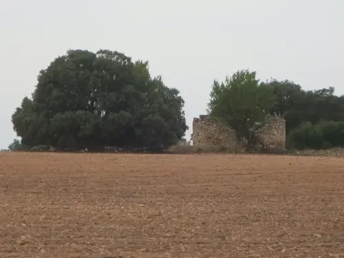 Molinos-Alhama4-Chinchilla