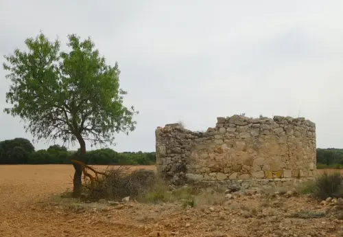 Molinos-Alhama6-Chinchilla