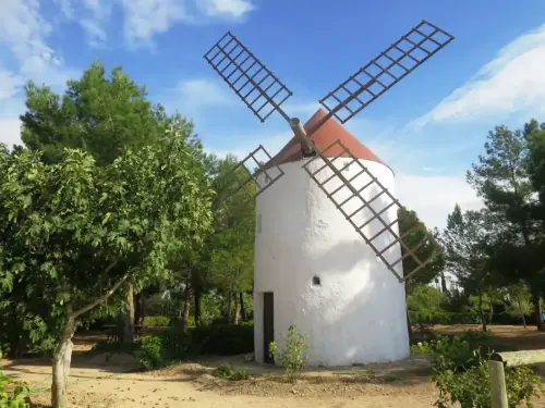 Molinos-Hoya-Gonzalo2