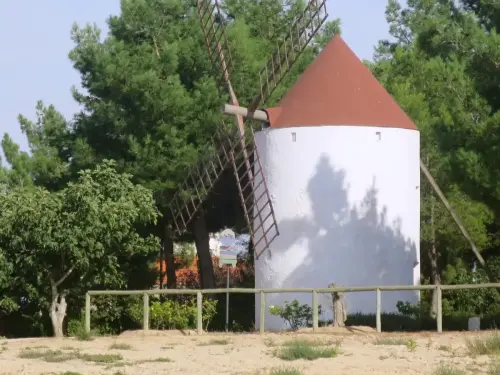 Molinos-Hoya-Gonzalo4