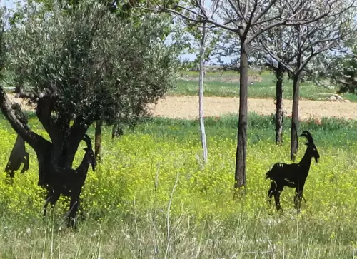 Molinos-Minaya-Molino-de-D.Juan-Antonio4