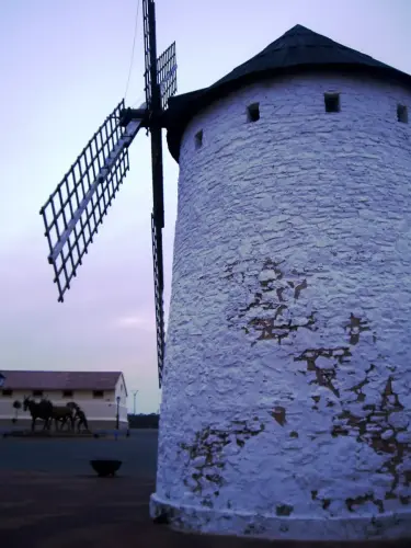 Molinos-Munera-La-Molineta3