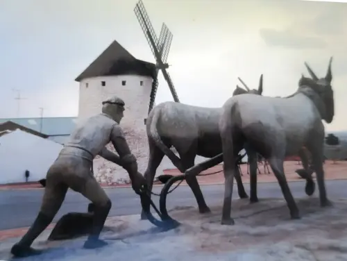 Molinos-Munera-La-Molineta4