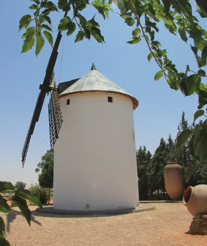 Molinos-Villarrobledo6