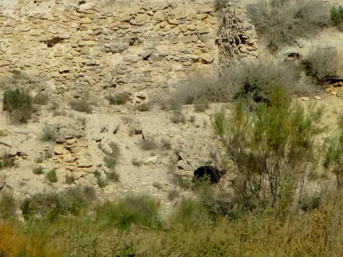 Molinos-Hellin-Arroyo-de-Tobarra3