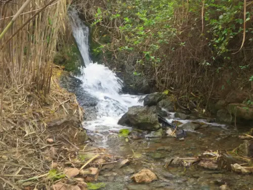 Molinos-Hellin-Azaraque5