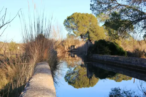 Molinos-Hellin-Falcon11