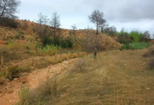 Molinos-Hellin-Falcon4-Rambla