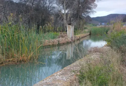 Molinos-Hellin-Falcon8